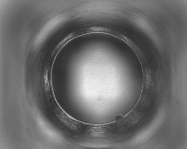 X0000080181198200612081353