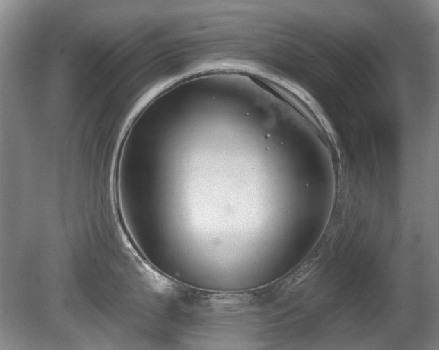 X0000080181199200612081353