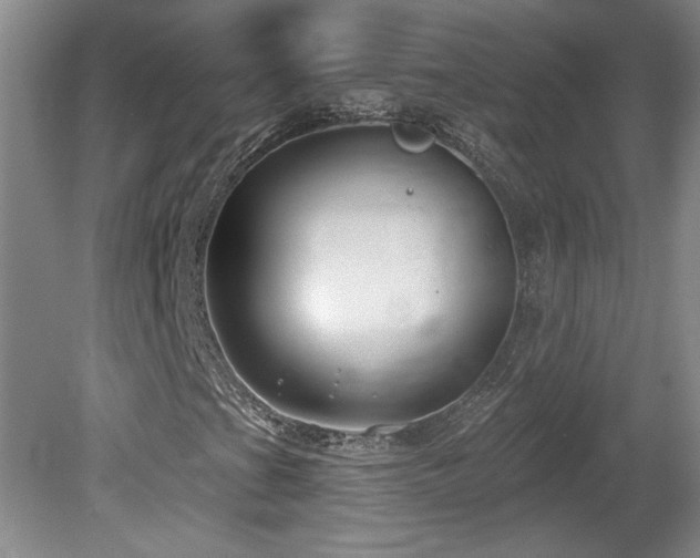 X0000080181201200612081352