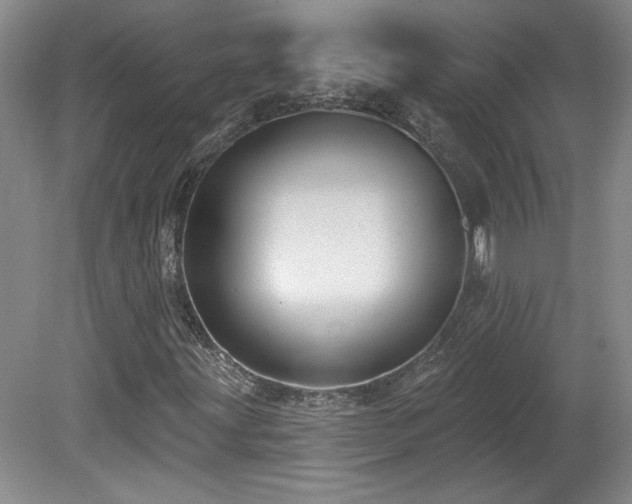 X0000080181203200612081352