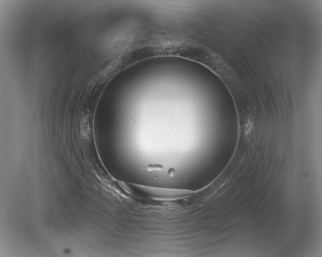 X0000080181204200612081352