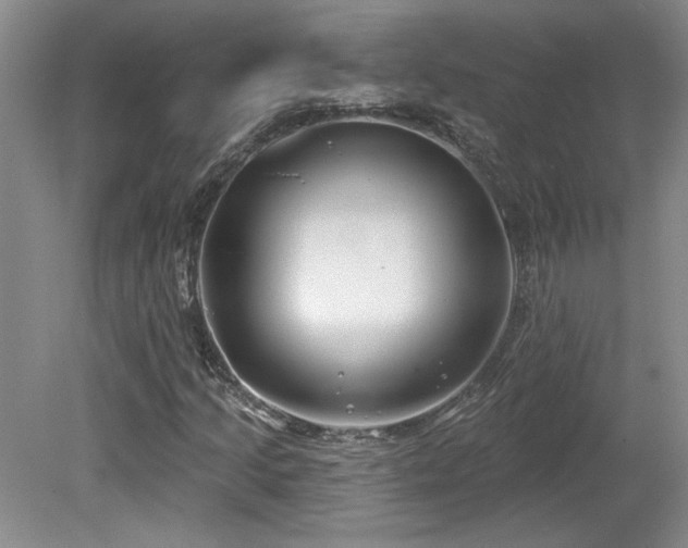 X0000080181205200612081352