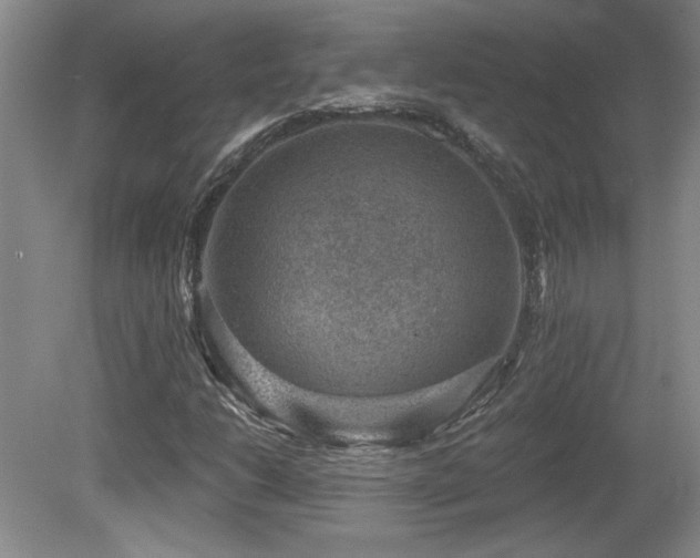 X0000080181206200612081352