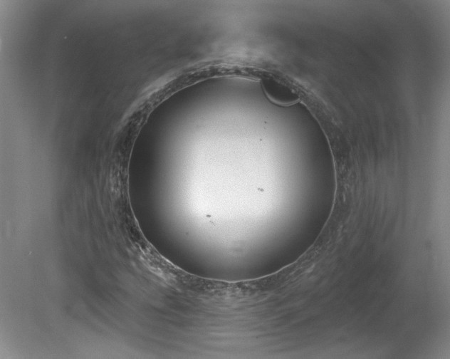 X0000080181207200612081352