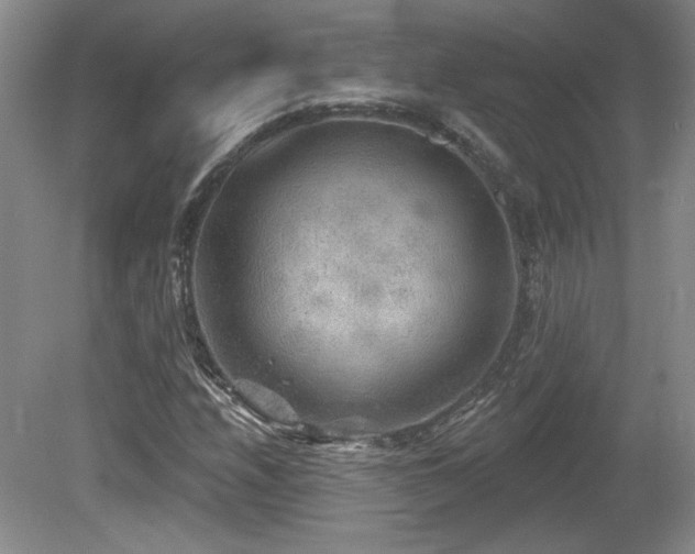 X0000080181208200612081352