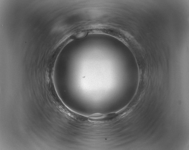 X0000080181209200612081352