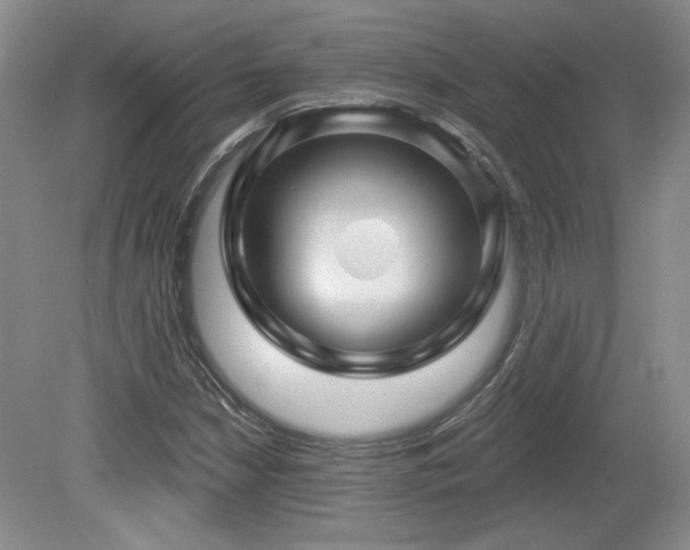 X0000080181210200612081352