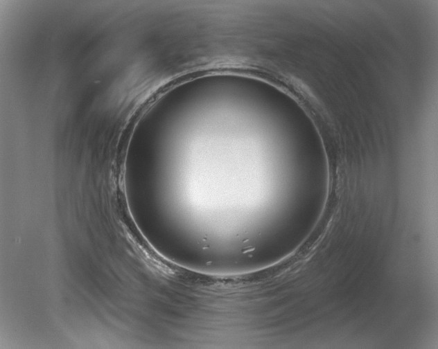 X0000080181212200612081352