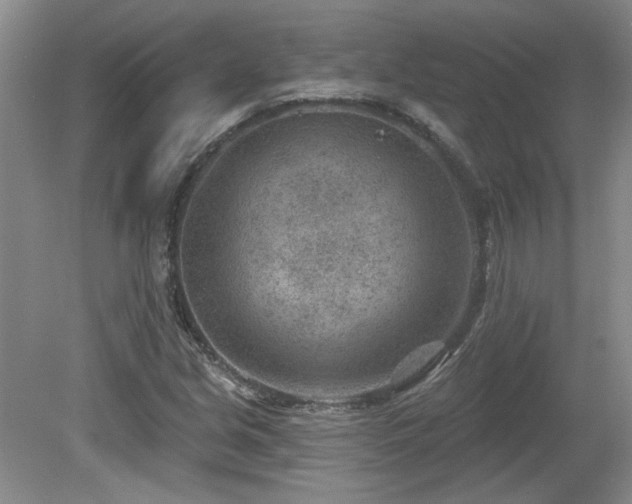 X0000080181213200612081352