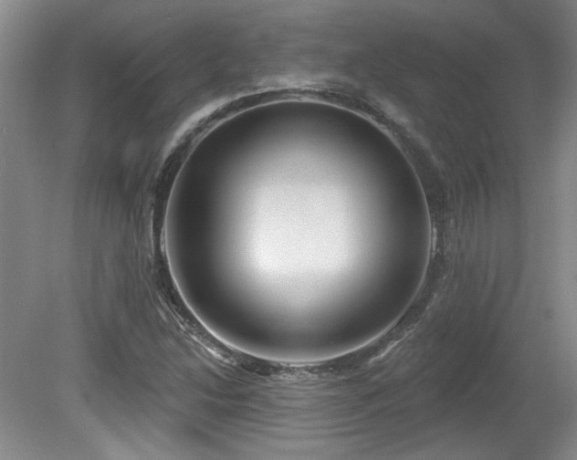 X0000080181214200612081352