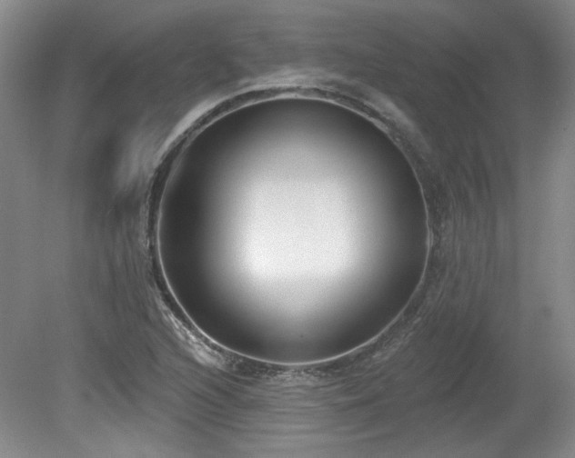 X0000080181216200612081352