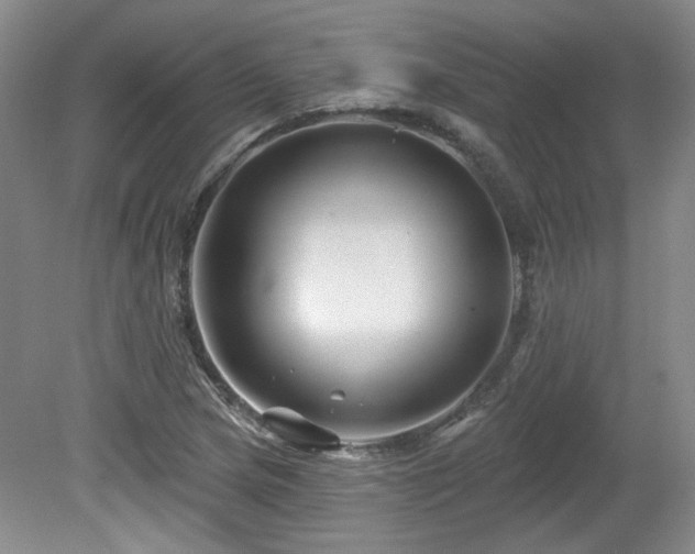 X0000080181217200612081352