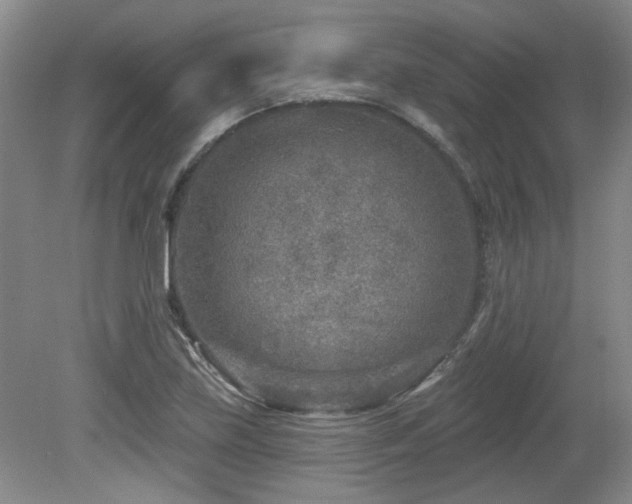 X0000080181219200612081352