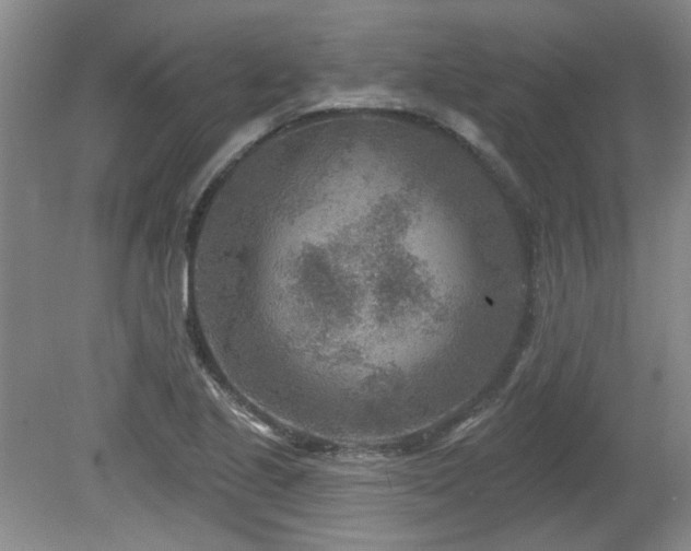 X0000080181221200612081352