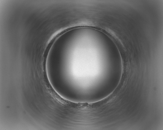 X0000080181222200612081352