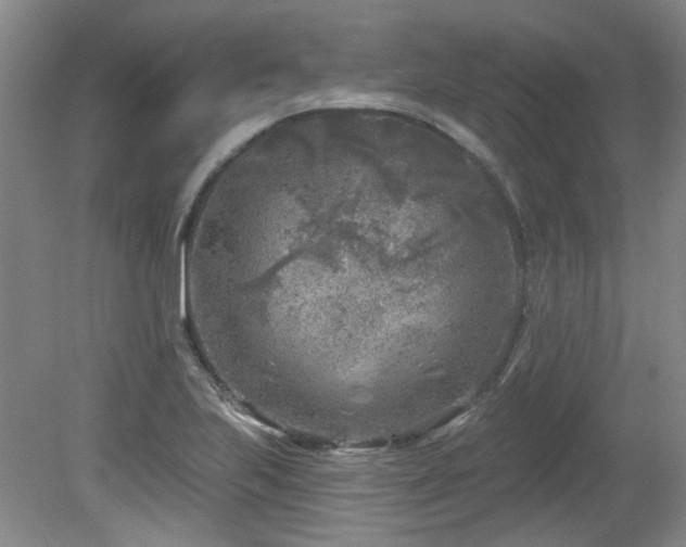 X0000080181223200612081352