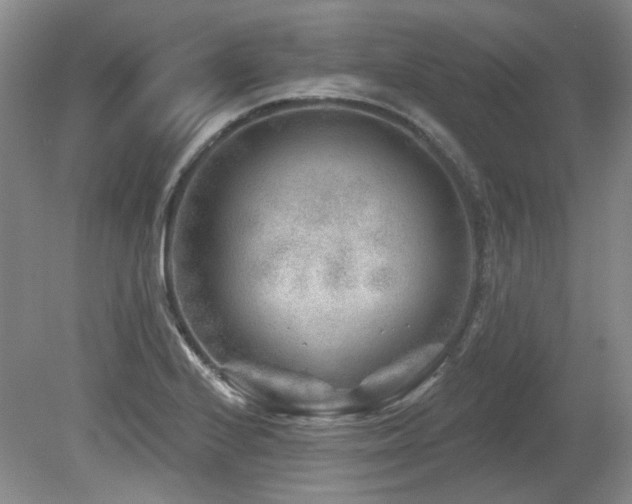 X0000080181224200612081352