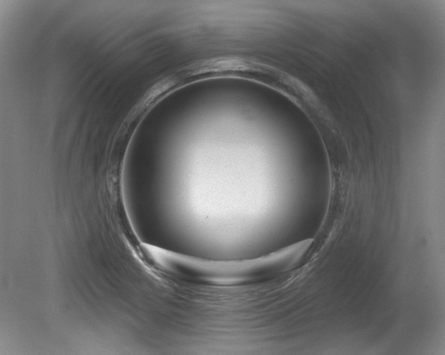 X0000080181225200612081352