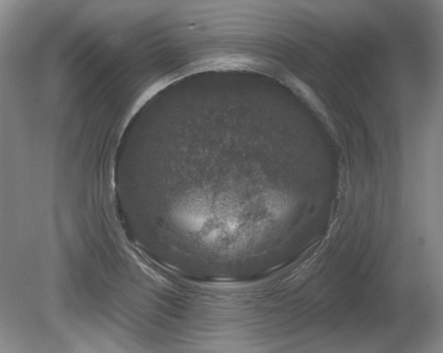 X0000080181226200612081352