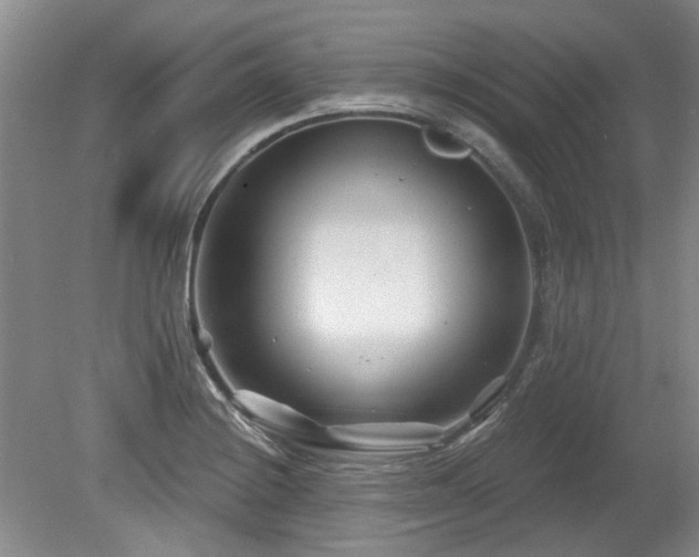 X0000080181228200612081352