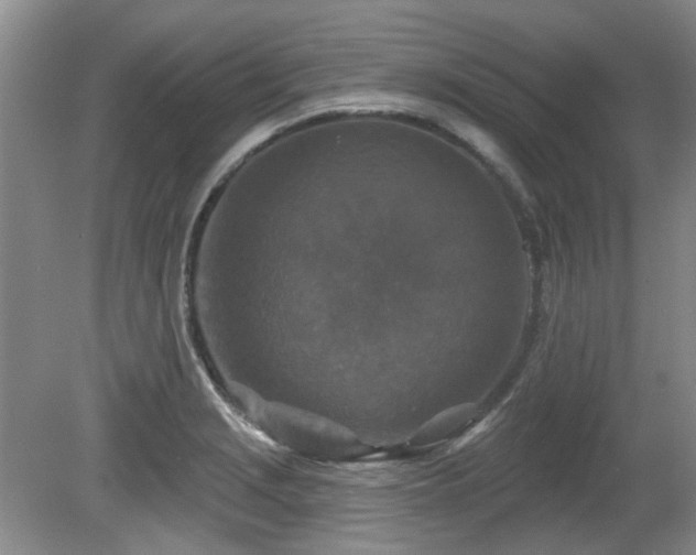 X0000080181229200612081352