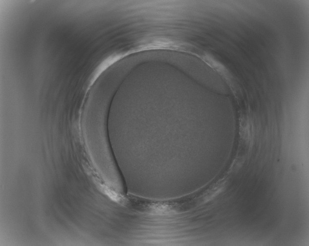 X0000080181230200612081352