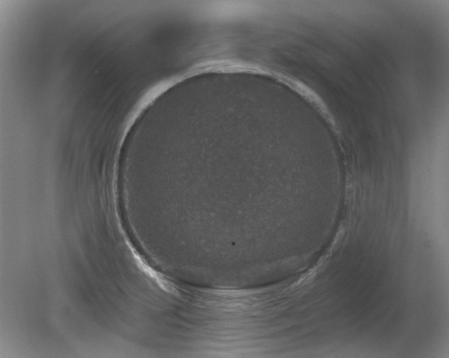 X0000080181231200612081352