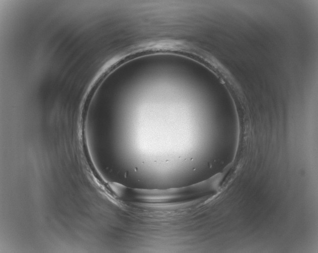 X0000080181232200612081352