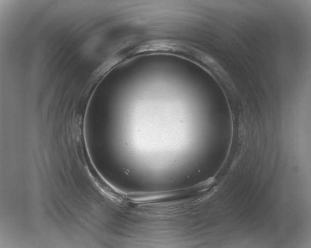 X0000080181233200612081353