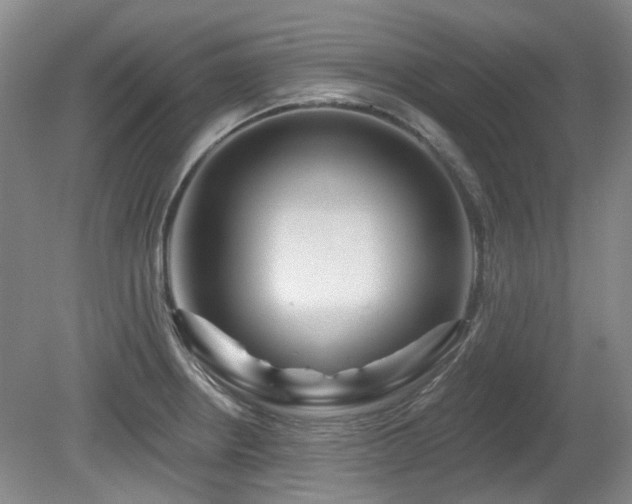 X0000080181234200612081353