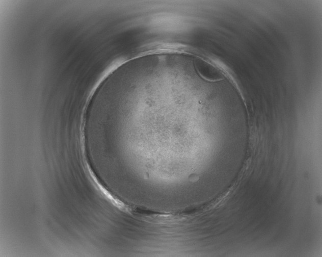 X0000080181235200612081353