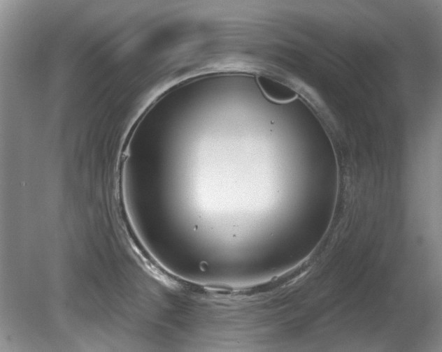 X0000080181236200612081353