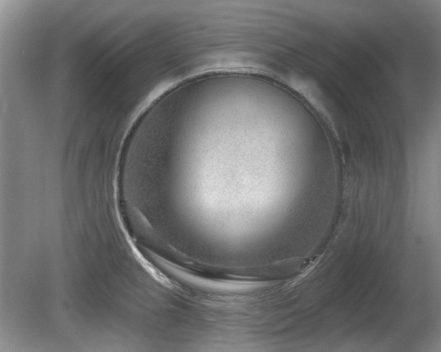 X0000080181237200612081353