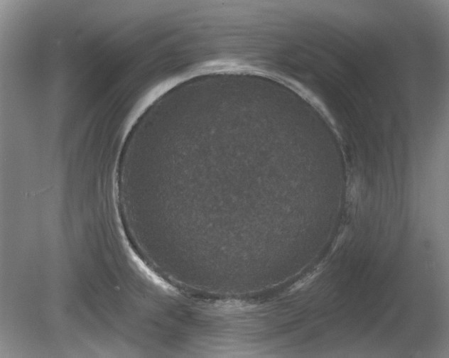 X0000080181239200612081353