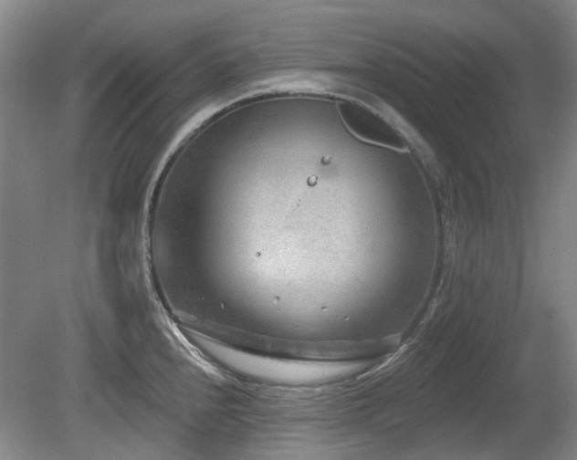 X0000080181240200612081353