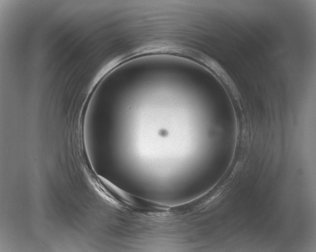 X0000080181242200612081353