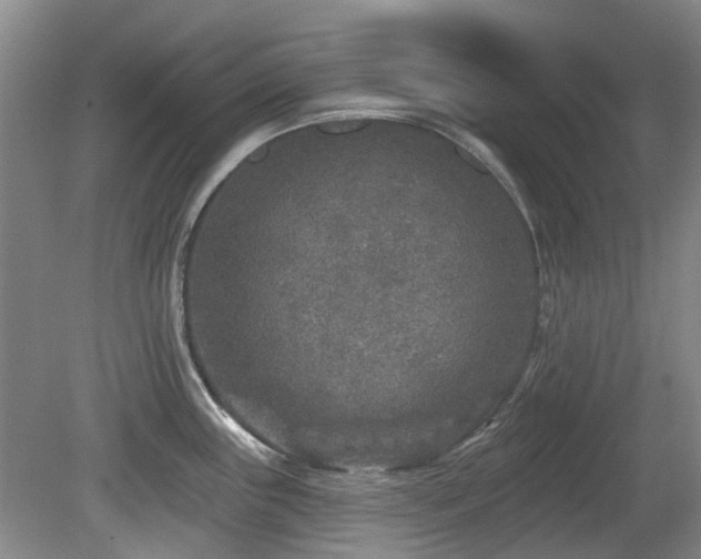 X0000080181243200612081353