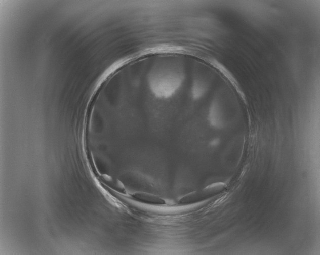 X0000080181245200612081353