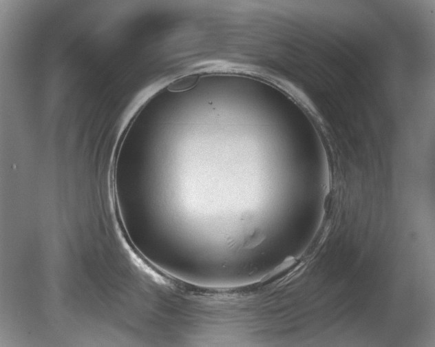 X0000080181247200612081353