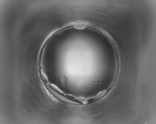 X0000080181248200612081353