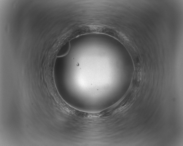 X0000080181249200612081352