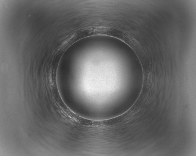 X0000080181250200612081352