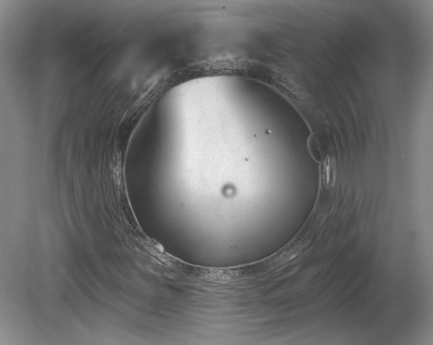 X0000080181251200612081352