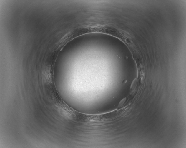 X0000080181252200612081352