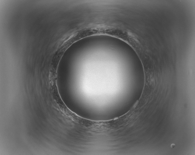 X0000080181253200612081352