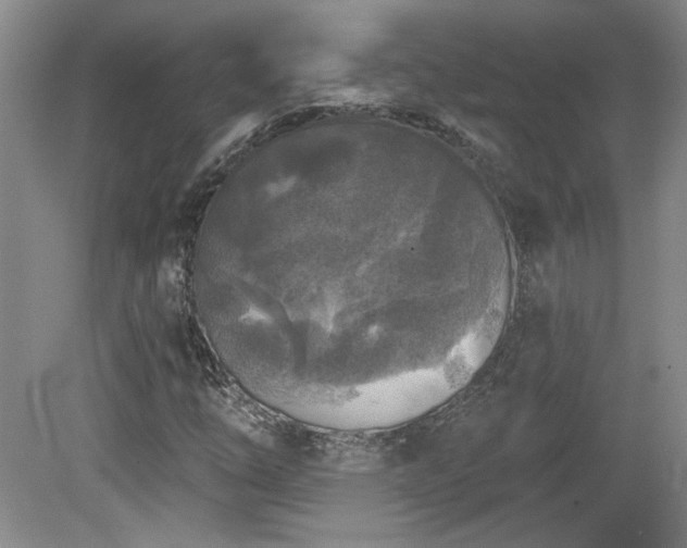 X0000080181254200612081352