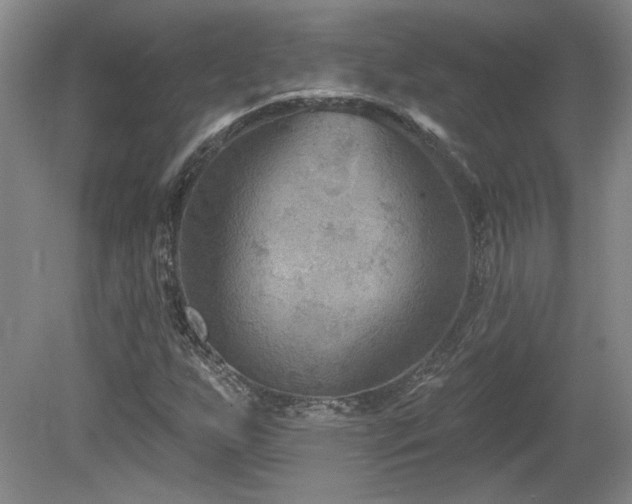 X0000080181255200612081352