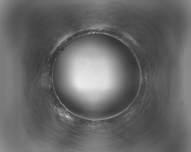 X0000080181256200612081352