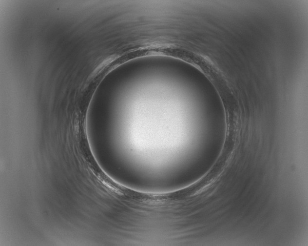 X0000080181257200612081352