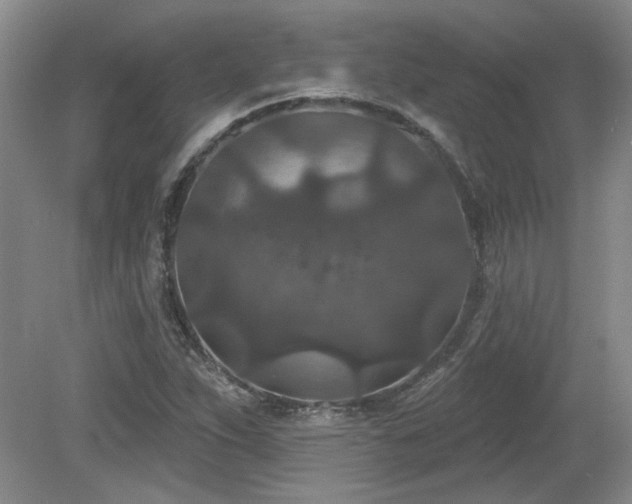 X0000080181263200612081352